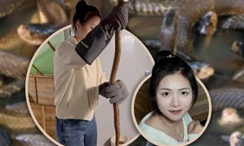 فتاة صينية تدير مزرعة لتربية 60 ألف ثعبان سام