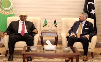سفير الصومال بالقاهرة: نتطلع إلى مواصلة التنسيق والتشاور مع ليبيا في مختلف المحافل بما يحقق المصالح المشتركة