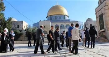 عشرات المستوطنين يقتحمون المسجد الأقصى ويؤدون طقوسًا تلمودية