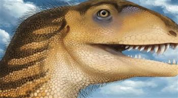 جمجمة محفوظة تساعد في الكشف عن نوع جديد من الديناصورات