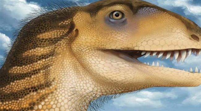 جمجمة محفوظة تساعد في الكشف عن نوع جديد من الديناصورات