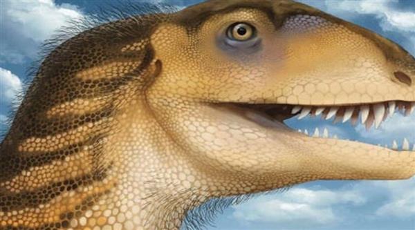 جمجمة محفوظة تساعد في الكشف عن نوع جديد من الديناصورات 