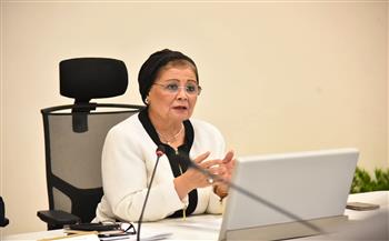 نائب وزير الصحة تبحث مع الجامعات تعزيز التعاون لتنفيذ الاستراتيجية الوطنية للسكان