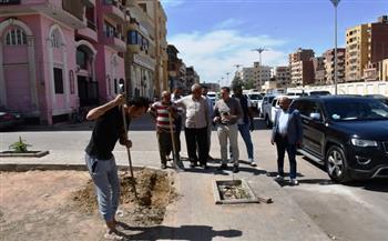 محافظ أسوان يوجه بتنفيذ أعمال التطوير ورفع الكفاءة الشاملة لحديقة حي الرضوان لتحويلها لمتنفس حضاري وجمالي 