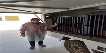 محافظ بورسعيد: استمرار الحملات المكثفة للتعامل مع الكلاب الحره ونقلها إلى الشيلتر بعدد من المناطق 