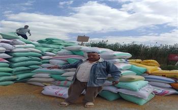 توريد 3353 طن قمح لمواقع التخزين والصوامع بالدقهلية