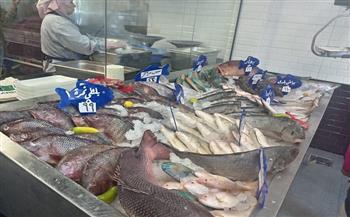 من حلايب إلى قناة السويس.. كيف تصل أسماك “كاري أون” يوميًا للمستهلك؟