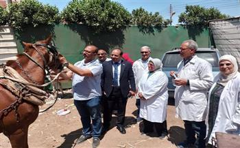 محافظ الدقهلية يتابع جهود مديرية الطب البيطري في تسيير القوافل الطبية البيطرية وتقديم الرعاية اللازمة 