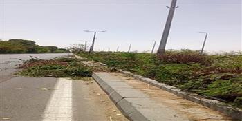 استكمال أعمال صيانة وتطوير حديقة الكومنولث وتكثيف حملات تجميل وتطوير المسطحات الخضراء بمدينة الأقصر