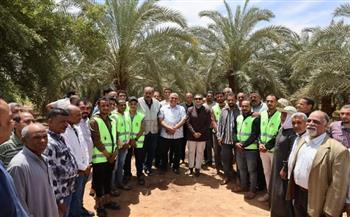 محافظ الوادي الجديد تشهد اطلاق طفيل الترايكوجراما لمكافحة آفات النخيل بمركز الخارجة 