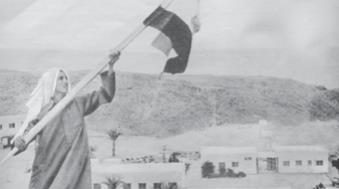 السيناوية..  عيون مصر الثاقبة خلف خطوط العدو