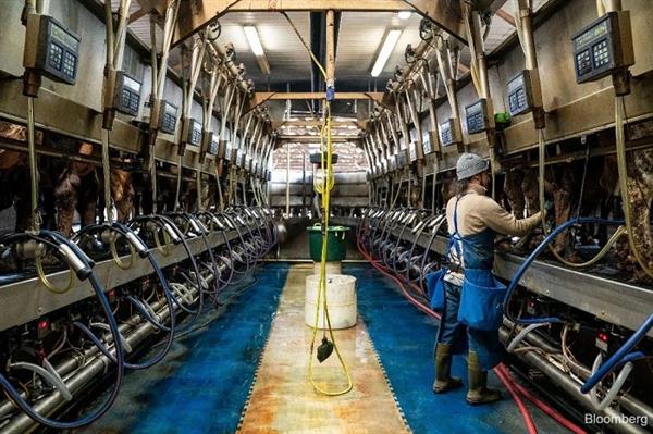 طلبات إعانة البطالة الأمريكية ترتفع بشكل طفيف إلى 214 ألفا 