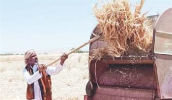 «سلة غذاء» واعدة تعيد صياغة مستقبل التنمية