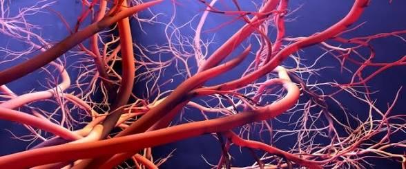 ضغط الدم المرتفع ..كيف يؤثر علي الأوعية الدموية