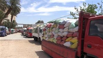 محافظ سوهاج: توريد أكثر من 20 ألف طن قمح والالتزام بصرف مستحقات المزارعين