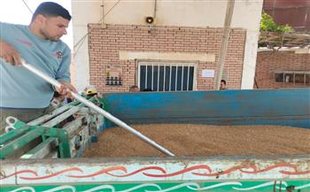 توريد 5120 طن قمح لمواقع التخزين والصوامع بالدقهلية