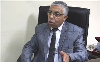 ذكرى تحرير الأرض.. «الغباشي»: سيناء رمز ديني وتاريخي رُوي بدماء المصريين عبر التاريخ 