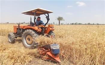 شون وصوامع محافظة الشرقية تستقبل (٣٤٥٦٧) طن و(٧٧١) كيلو من القمح المحلي 