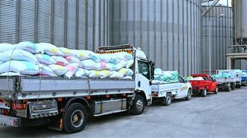 توريد 5198 طن قمح إلى شون وصوامع محافظة البحيرة 