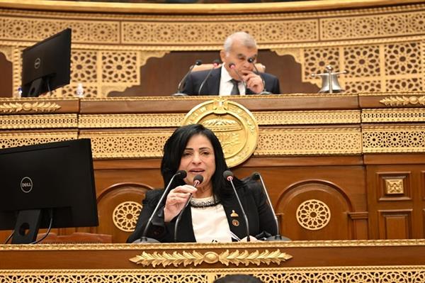 ميرال الهريدي تستعرض طلب مناقشة بالشيوخ حول ظاهرة منصات المراهنات الرياضية 