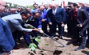 محافظ سوهاج ورئيس الجامعة يشاركون في زراعة أشجار الزيتون احتفالًا بعيد تحرير سيناء