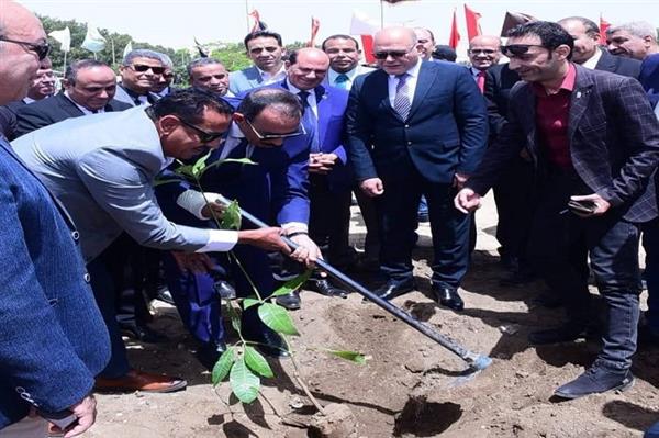 محافظ سوهاج ورئيس الجامعة يشاركون في زراعة أشجار الزيتون احتفالًا بعيد تحرير سيناء 