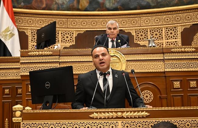 "الشيوخ" يفتح ملف نتائج بعثة مصر في دورة الألعاب الأوليمبية السابقة والاستعداد للمقبلة