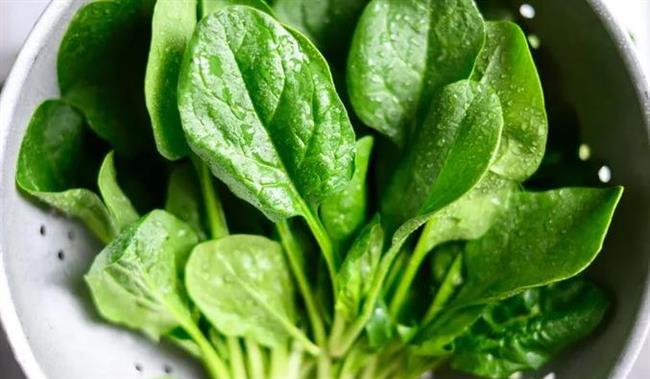 هل ترفضين تناول السبانخ؟.. إليكِ أطعمة تمنحك نفس فوائدها الصحية