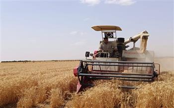 "الريف المصري الجديد" تحقق إنجازًا علميًا جديدًا بزراعة القمح بمياه ري تصل ملوحتها إلى 8 آلاف جزء في المليون