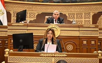 "الشيوخ" يوافق على حساب ختامي موازنة المجلس 2024/ 2025 