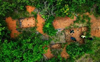 رصف الطرق في غابات الأمازون يكشف عن مفأجاة تغيّر التاريخ