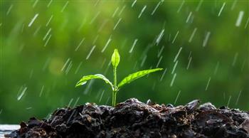 كائنات مجهرية تمتلك قدرات خارقة في التحكم في الأمطار