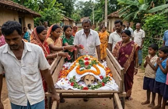 الهند.. جنازة مهيبة لكلب أنقذ 30 طفلًا من ثعبان سام