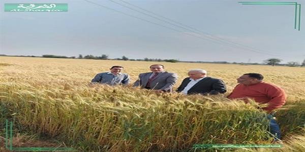 مديرية الزراعة بالشرقية تكثف جهودها لتحقيق إنجازات ملموسة ودعم المزارعين بمراكز ومدن المحافظة 