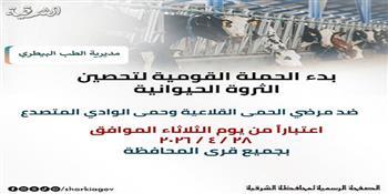 غداً الثلاثاء.. انطلاق الحملة القومية لتحصين الماشية ضد مرضى الحمى القلاعية وحمى الوادي المتصدع في الشرقية 