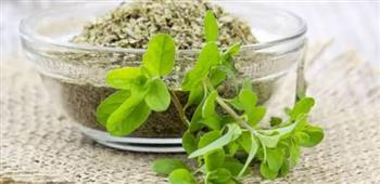 الفوائد الصحية للبردقوش