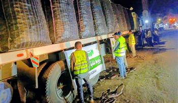 بالتنسيق بين جمعية الأورمان فرع الشرقية وتضامن الشرقية.. توزيع ٥٠ طن مواد غذائية على ٥ آلاف مستفيداً من الأسر 