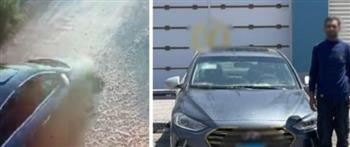 الأمن يكشف ملابسات فيديو اصطدام سيارة بكلب ضال في الإسماعيلية