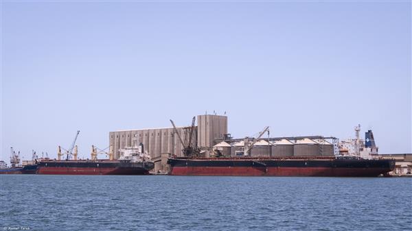 تداول 29 سفينة حاويات وبضائع عامة بميناء دمياط 