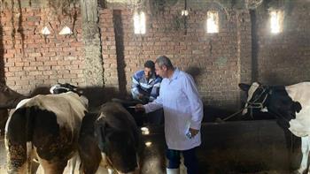 انطلاق الحملة القومية للتحصين ضد "الحمى القلاعية" و"الوادي المتصدع" بدمياط