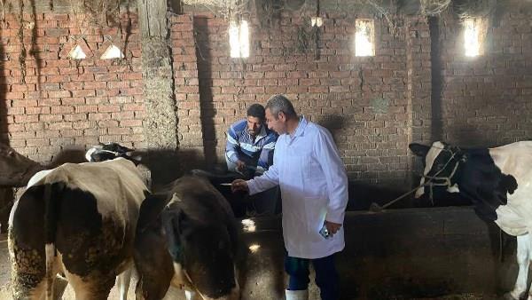 انطلاق الحملة القومية للتحصين ضد "الحمى القلاعية" و"الوادي المتصدع" بدمياط 