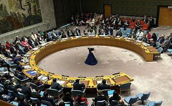 مندوب تركيا بمجلس الأمن: الشعب الفلسطيني لا يزال يعاني تحت وطأة الاحتلال