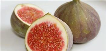 3 فوائد للتين