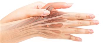 طرق الوقاية من تمزق العضلات