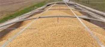 أسعار المحاصيل عند أعلى مستوياتها منذ 2023 بفعل تداعيات الحرب وسوء الطقس