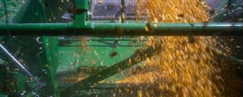 "بلومبرج": موجة صعود قوية لأسعار الغذاء عالميًا بفعل اضطرابات الطاقة والمناخ