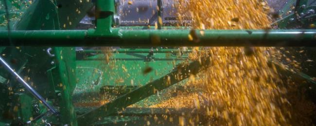 "بلومبرج": موجة صعود قوية لأسعار الغذاء عالميًا بفعل اضطرابات الطاقة والمناخ