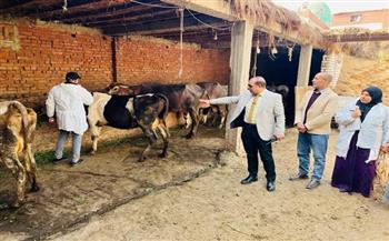 محافظ الدقهلية: تحصين 14 ألف رأس ماشية تقريبا في الحملة القومية الأولى للتحصين ضد مرض الحمى القلاعية