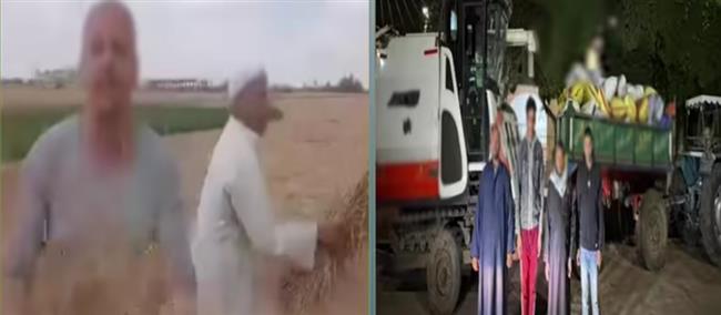 الأمن يكشف ملابسات سرقة محصول قمح ويضبط المتهمين بالشرقية
