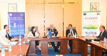 محافظ البحيرة تشارك في جلسة تنسيقية حول مشروعات الشراكة مع القطاع الخاص 